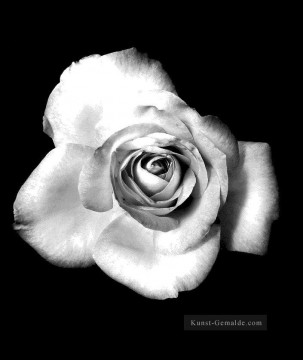 Schwarz weiß Werke - Schwarzweiß Blumen xsh507
